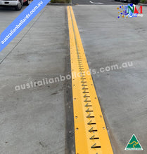 Load image into Gallery viewer, Tyre Killer-Spike Barrier